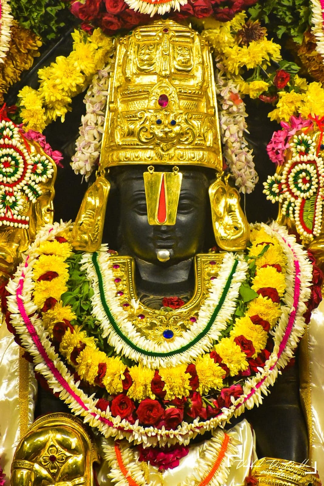 WhatsApp Image 2026 03 02 At 08.43.28