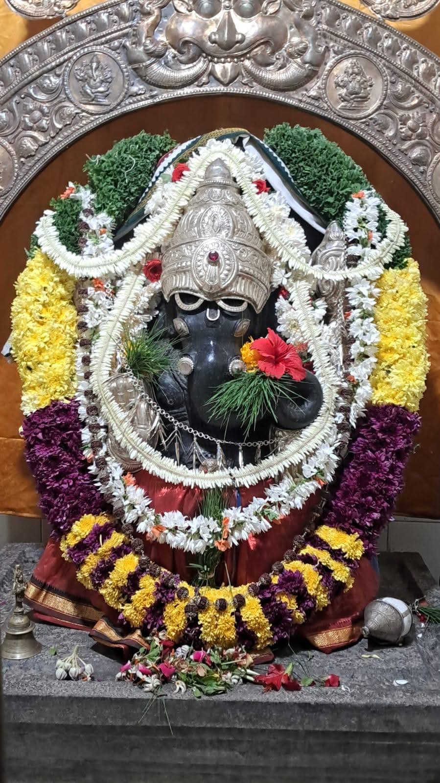 WhatsApp Image 2026 03 02 At 08.43.35