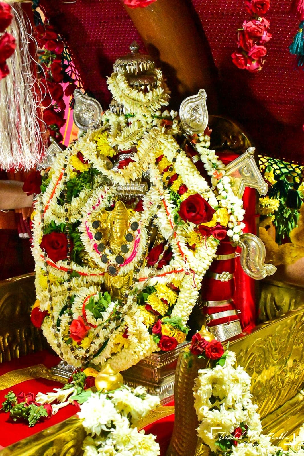 WhatsApp Image 2026 03 02 At 08.43.38 (1)